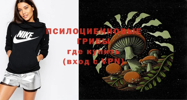 крисы Абдулино