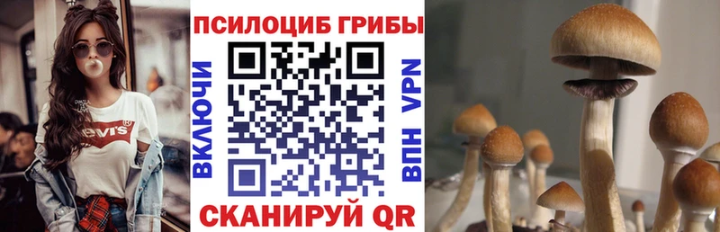 Псилоцибиновые грибы MAGIC MUSHROOMS  как найти   Иркутск 