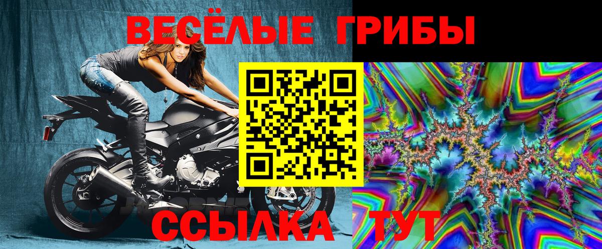 Псилоцибиновые грибы Cubensis Иркутск